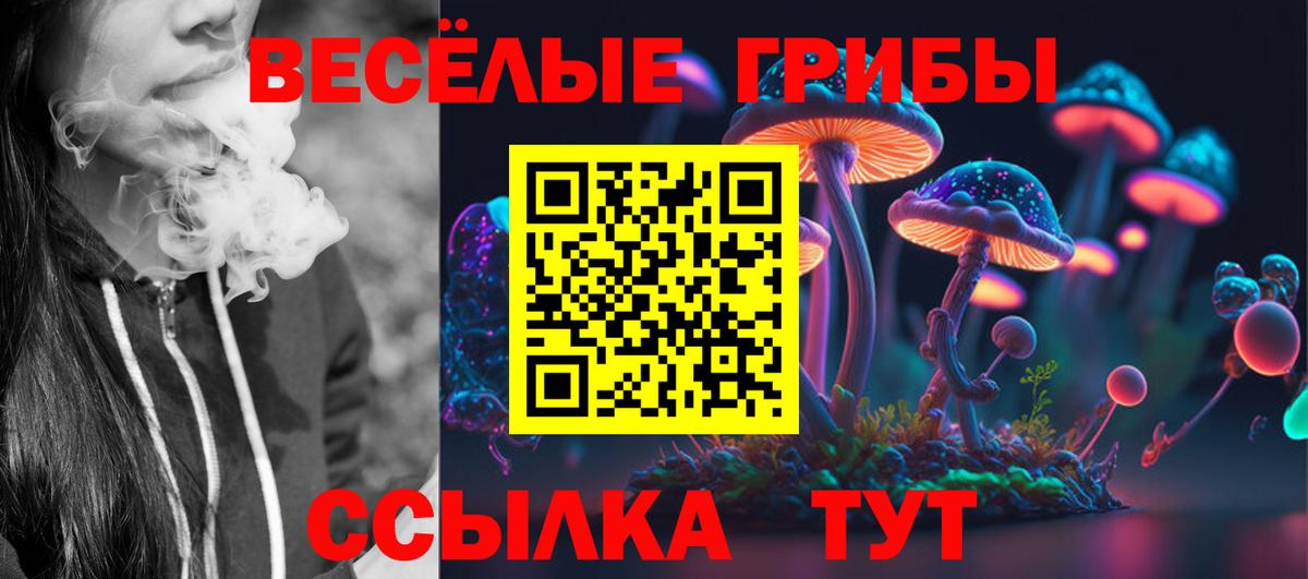 Псилоцибиновые грибы мицелий Саров