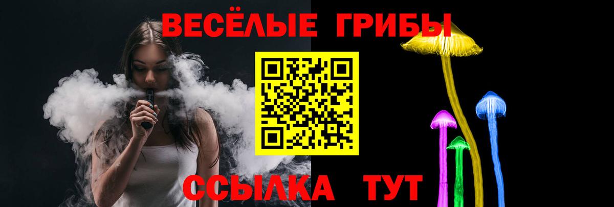 Галлюциногенные грибы прущие грибы  Вход с VPN  Саров 